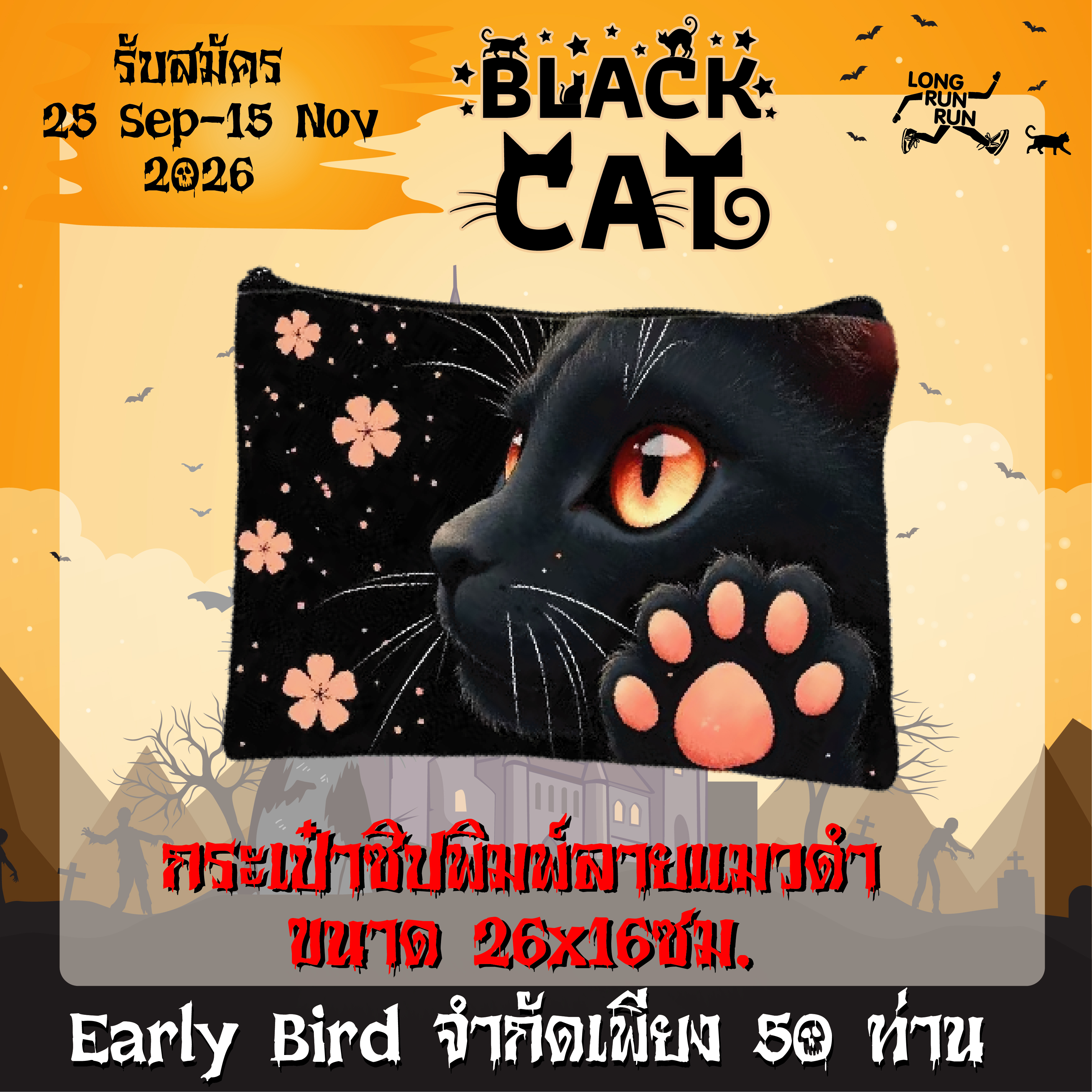 🐈‍⬛BLACK CAT VIRTUAL RUN 42K 🎃